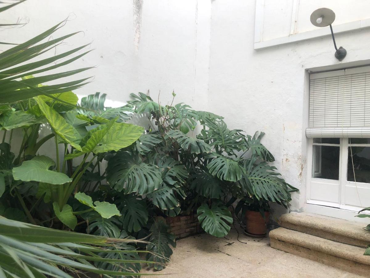 Apartamentos Tukasa Vintage กาเซเรส ภายนอก รูปภาพ